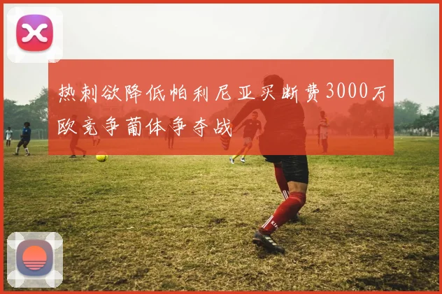 热刺欲降低帕利尼亚买断费3000万欧竞争葡体争夺战